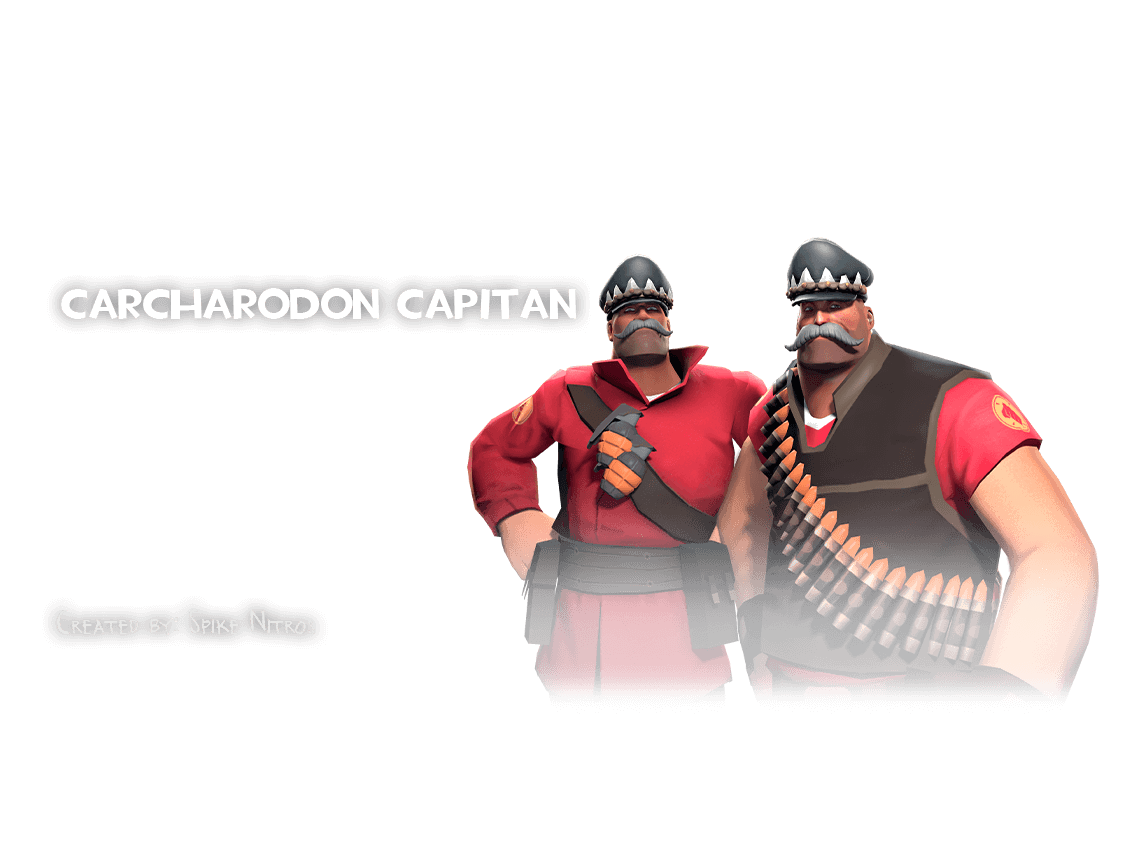 Cosmetic Case 2 Item 01